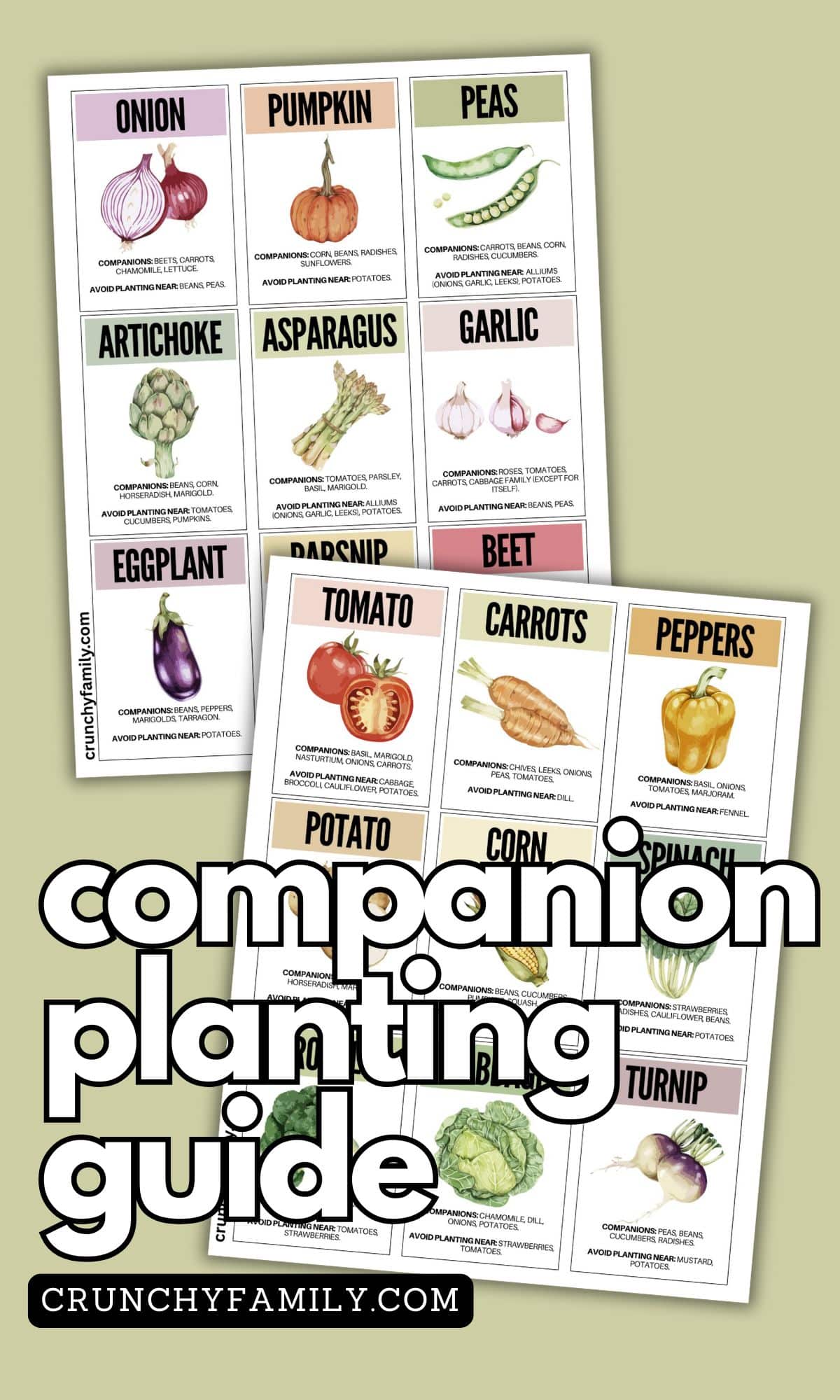 companion planting vegetables 