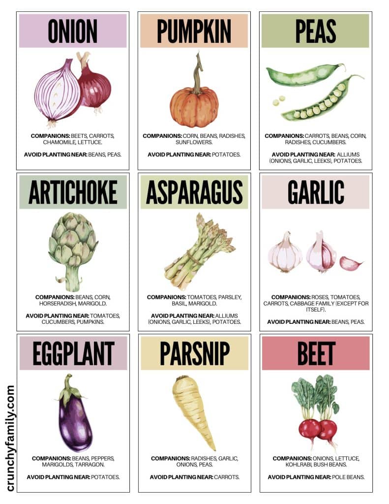 companion planting cards 