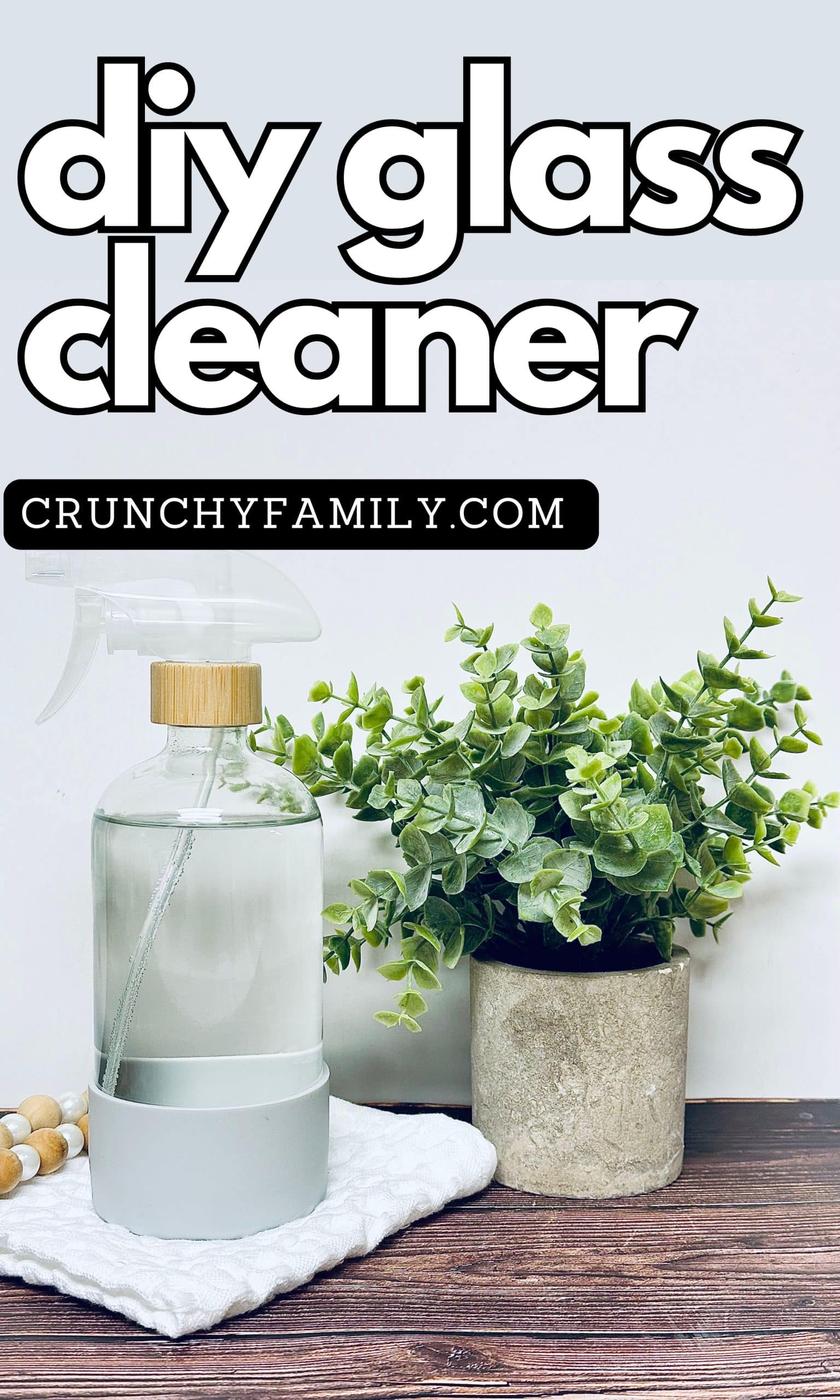 homemade glass spray