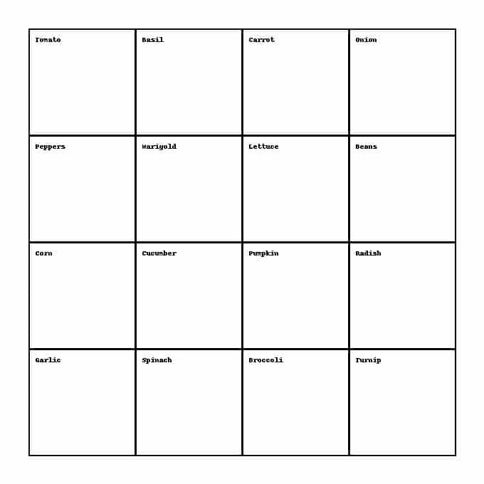 example square foot garden companion planting 