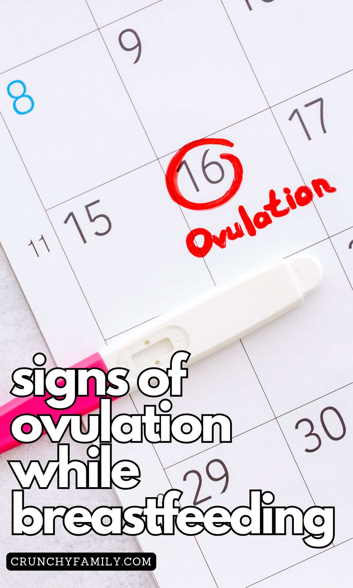 signs of ovulation while breastfeeding 