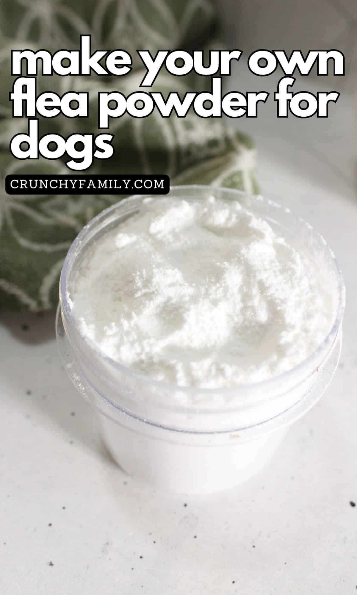 homemade flea powder for dogs